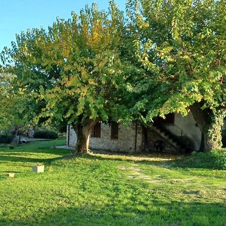 Agriturismo Canonici Amelia Dış mekan fotoğraf