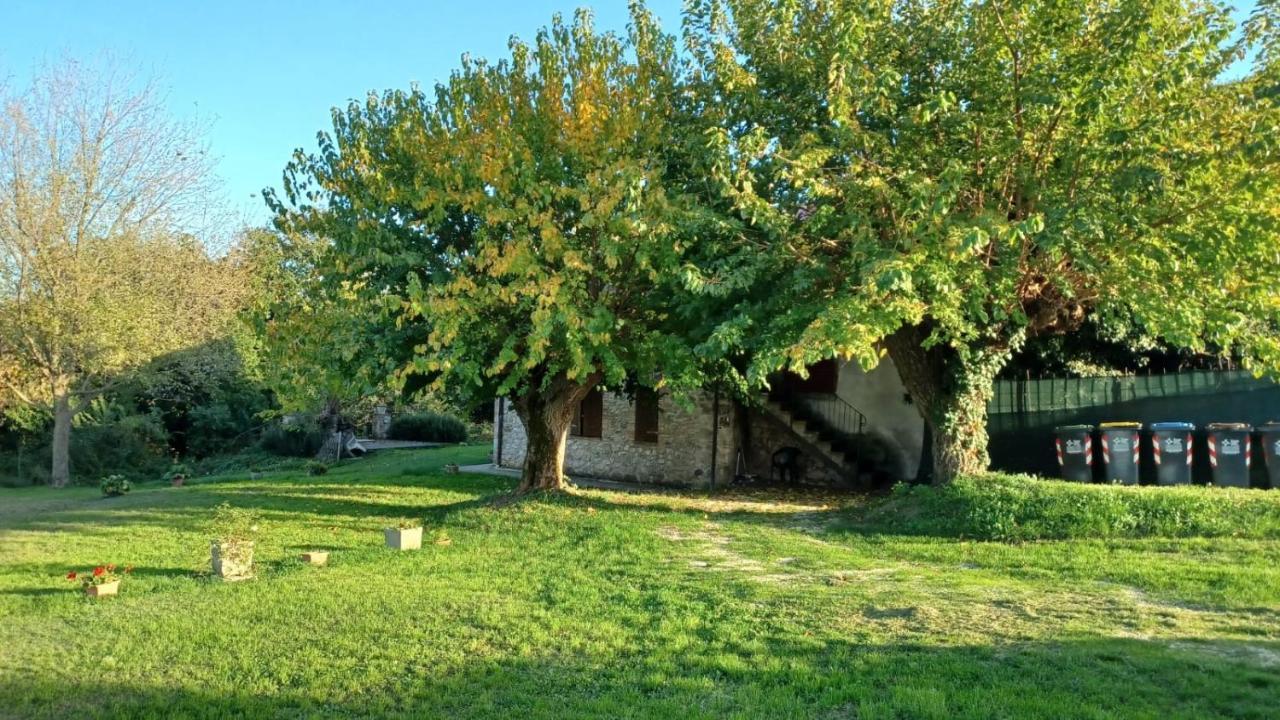 Agriturismo Canonici Amelia Dış mekan fotoğraf