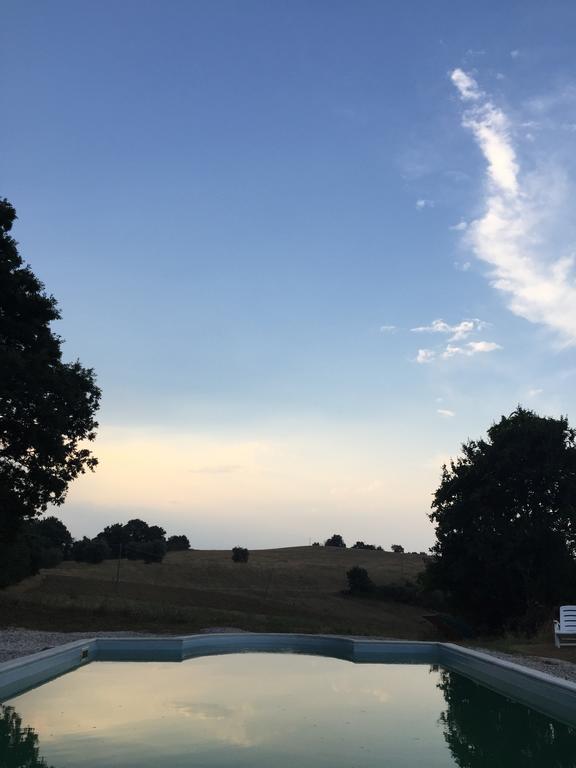 Agriturismo Canonici Amelia Dış mekan fotoğraf