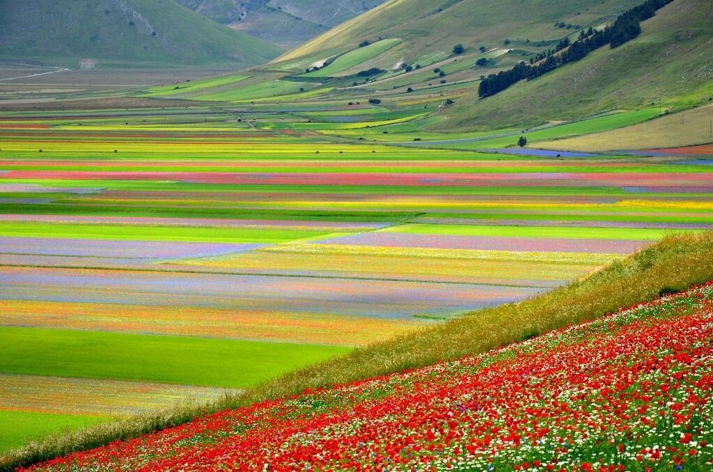 Agriturismo Canonici Amelia Dış mekan fotoğraf