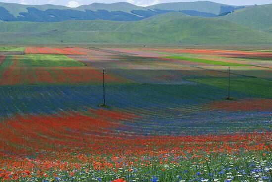 Agriturismo Canonici Amelia Dış mekan fotoğraf